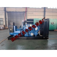 YC6TD840-D30玉柴600KW柴油發(fā)電機組