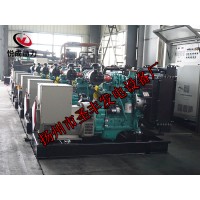 QSB3.9-G2康明斯動力配套50KW柴油發(fā)電機組